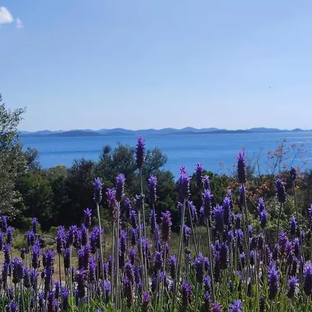 Sea House Anka Feriehus Banj